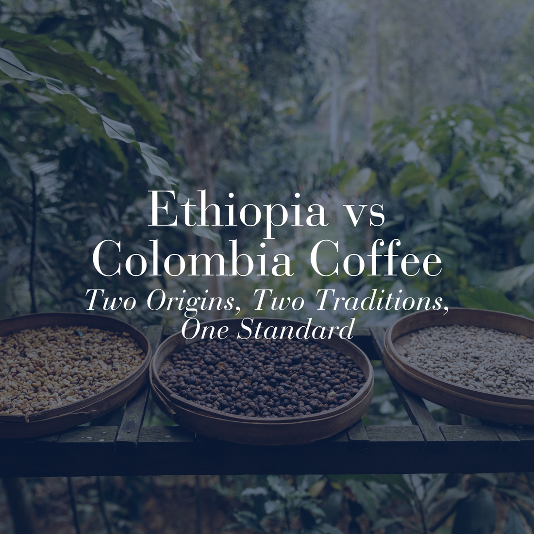Ethiopia vs Colombia Coffee: Two Origins, Two Traditions, One Standard