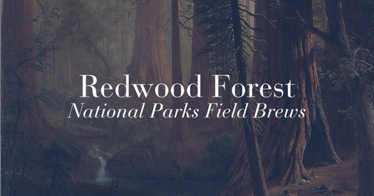 Redwood Forest — Official Registry Record · Registry No. 8