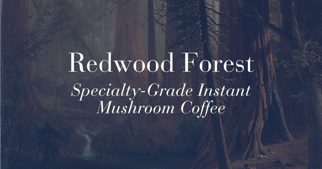 Redwood Forest: Specialty-Grade Instant Mushroom Coffee from Papua New Guinea