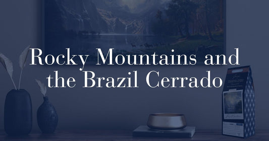 Rocky Mountains and the Brazil Cerrado: Plateau, Body, and Bierstadt's Western Vision