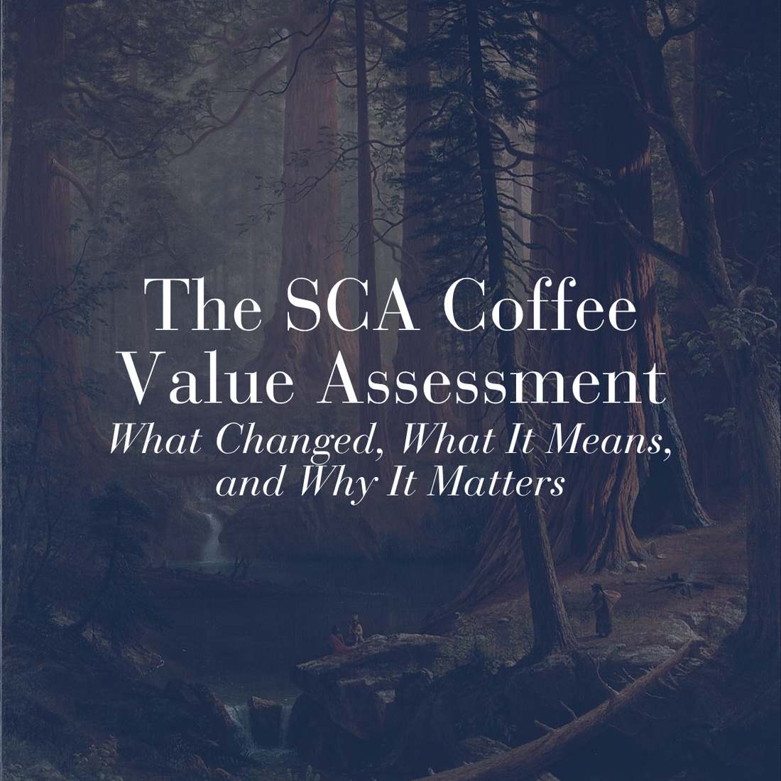 The SCA Coffee Value Assessment: What Changed, What It Means, and Why It Matters
