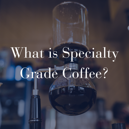 What is Specialty Grade Coffee? Glass beaker brew test