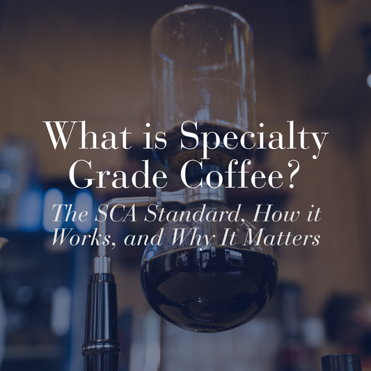 What is specialty grade coffee — the SCA standard explained. GEORGE Specialty Coffee — medium roast, roasted in the United States. Official Fellow Citizen.