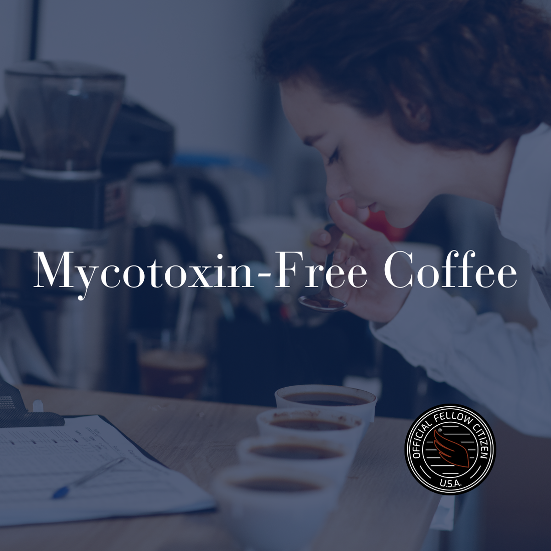 Mycotoxin-free coffee independently lab tested — GEORGE specialty grade coffee FoodChain ID results full panel 20 compounds