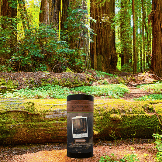 Mushroom coffee with lion’s mane and chaga from Papua New Guinea in collectible GEORGE National Parks Collection tube packaging by Official Fellow Citizen